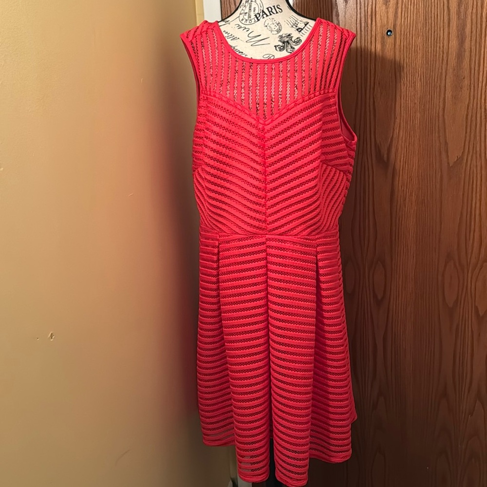 Ashley Stewart plus size dress